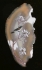 Картина из камня "Соловей" (Агат, гранат, астрофилит, шунгит - Ручная работа) (в зависимости от наличия камня) инфо 3483f.