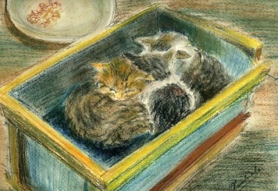 "Котята" - Бумага, пастель (40 х 30 см) Автор Ольга Шаповалова художник инфо 3511f.